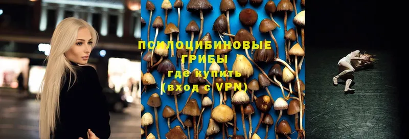 продажа наркотиков  Белая Холуница  Галлюциногенные грибы MAGIC MUSHROOMS 